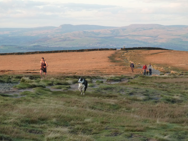 Pendle Walkers